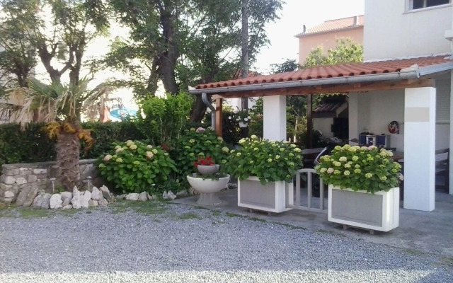 Dani - Free Parking - A1