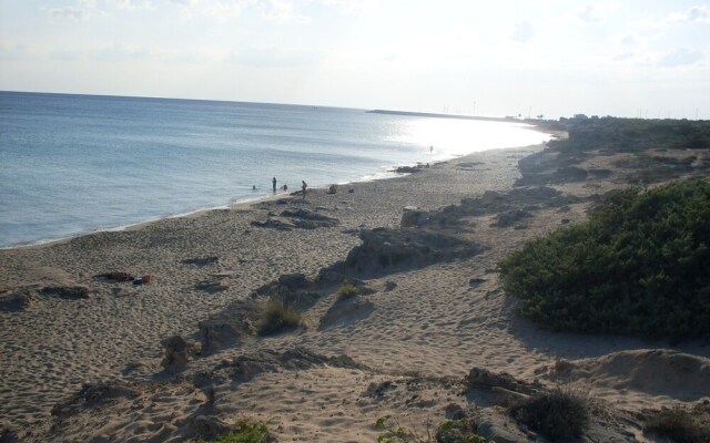 Villa Boschetto B&B - Apartments