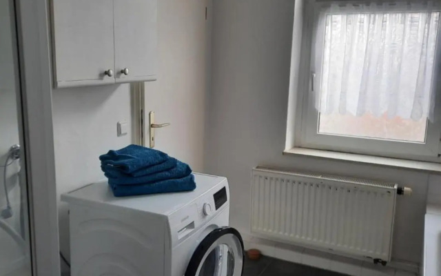 Kunstoase am blauen Haus