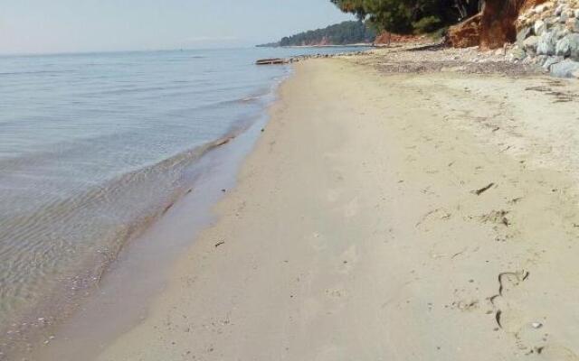 Sithonia Alekos Luxury Experience