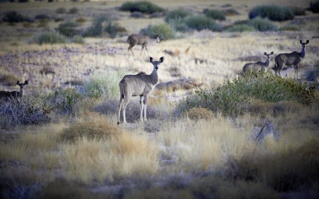 Sandfontein Lodge & Nature Reserve
