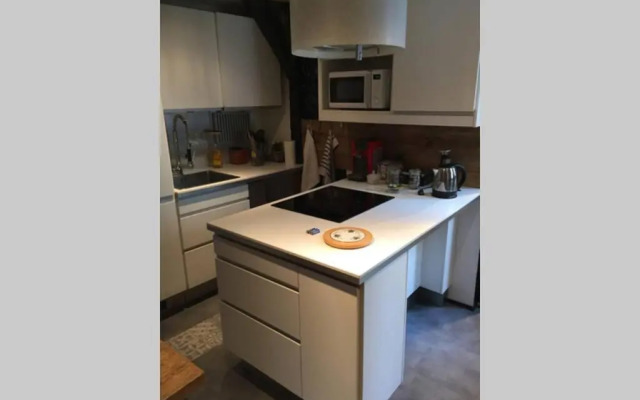 T3 duplex industriel hyper centre ville historique