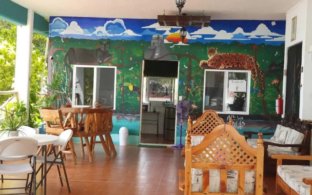 Hostel Zazil