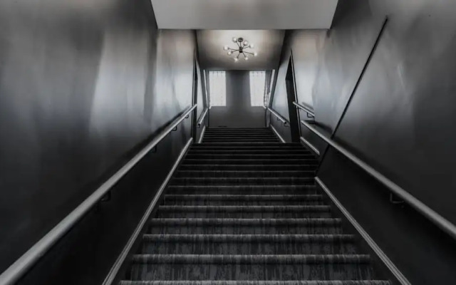 Elegant Suite—Near Kensington Market, Sleeps 8