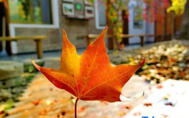 Yunshui Huaxi Homestay