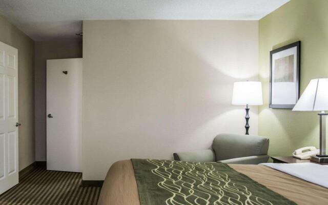 Comfort Inn & Suites St. Pete - Clearwater International Airport