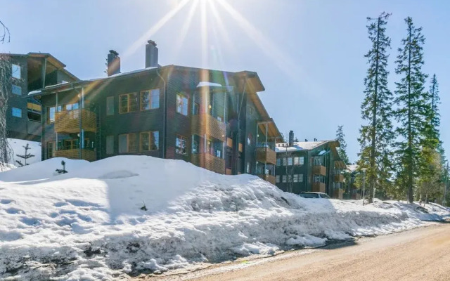 Karhunvartijan linna c18