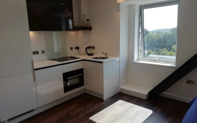 Luxury One Bedroom Apartment