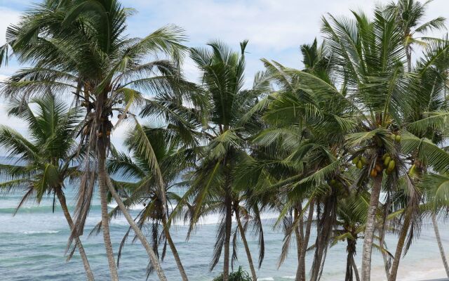 Surf Station