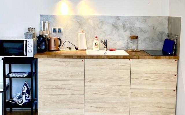 Apartment Opletalova 10