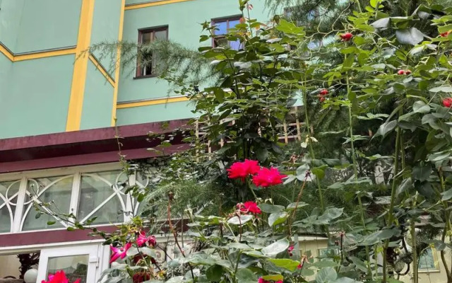 Hotel Viki