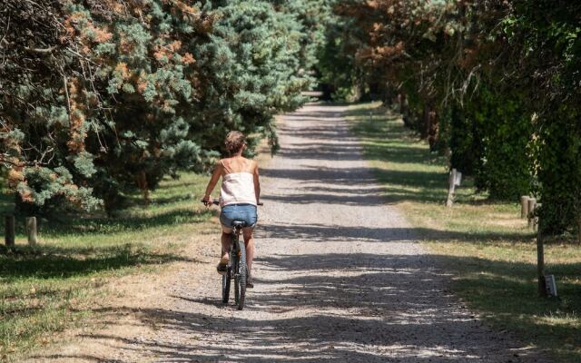 Le Domaine des Dryades