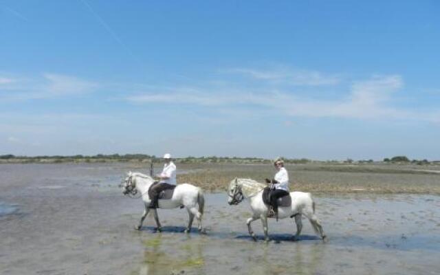 Hôtel Mas de la Grenouillère