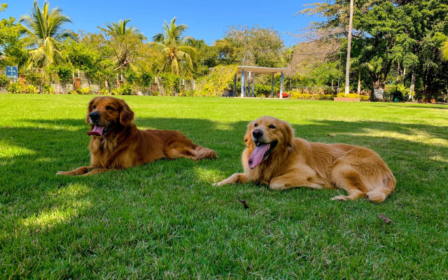 Puerto de Luna Pet Friendly & Family Suites Hotel