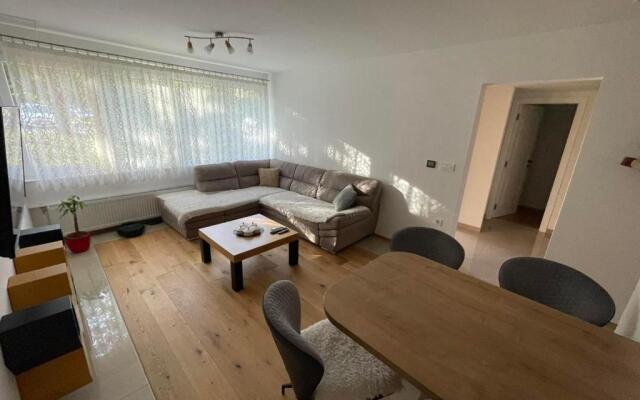 Delux apartment ARSO