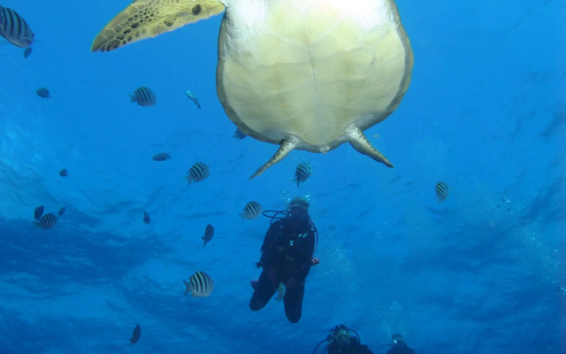Pousada Boldro Home