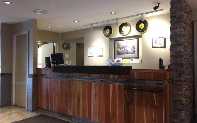 Bear Country Inn