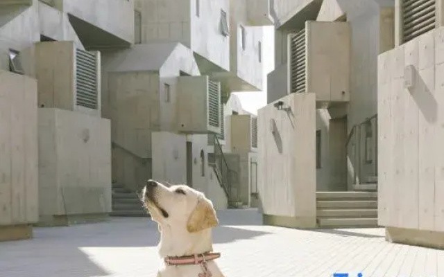 Kennels Pet-Friendly Hotel