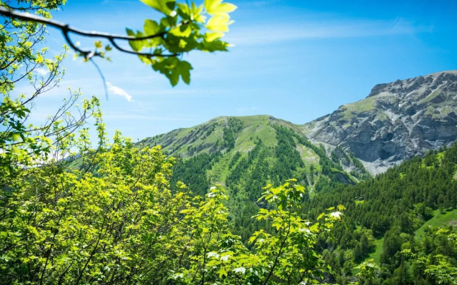 White House Ski Relax