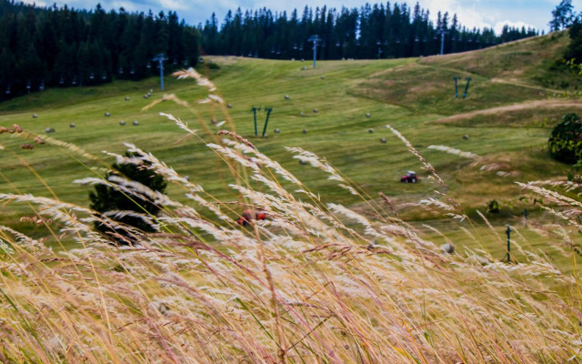 MJ Apartments Panorama