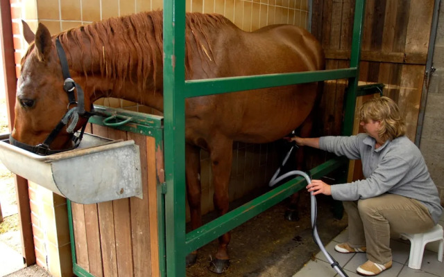 Hotel De Boskar 1773