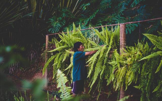 Eco Resort Bela Riba