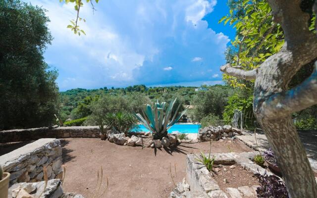 Trullo Agapanthus