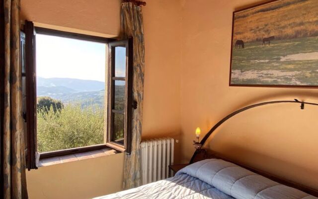 Villa Grassina 33464