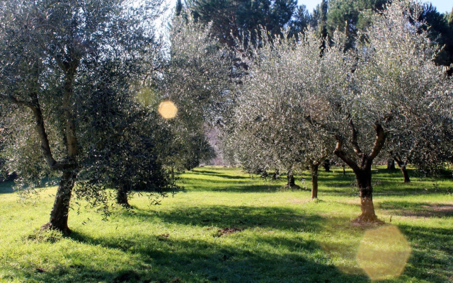 Molino le Gualchiere