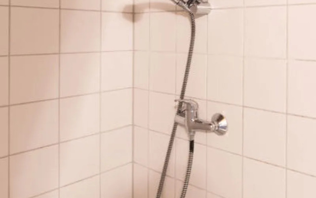 Nordsee-Ferienhaus 10250