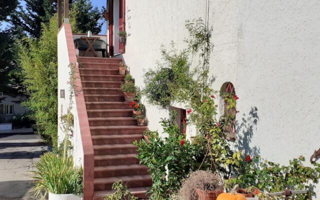 Pier delle Vigne B&B