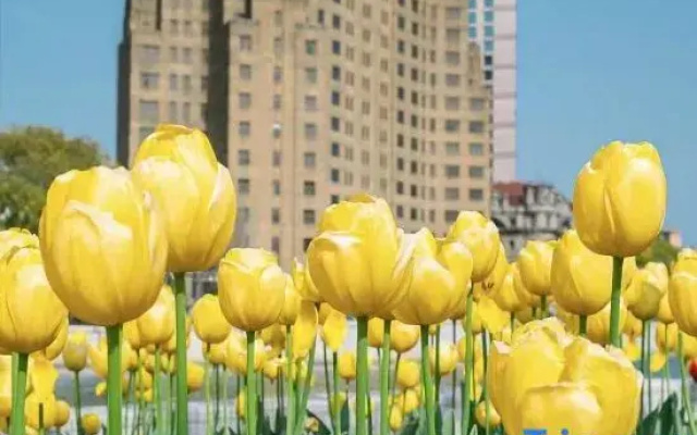 Jinglai Hotel • Select (Shanghai Jingan Changshou Road Metro Station Branch)