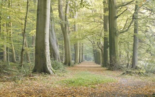 Orangery Berum Modern Retreat