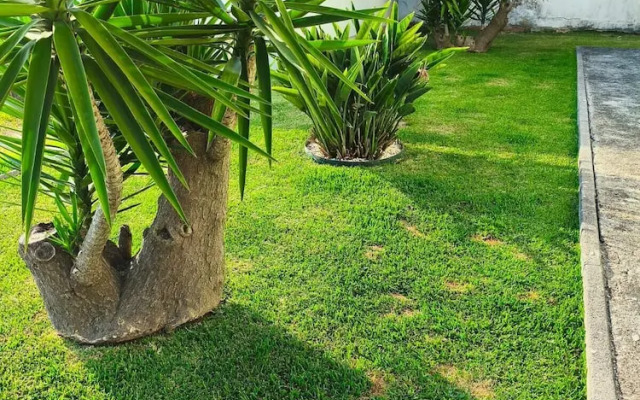 Esposende Charming Villa With Garden