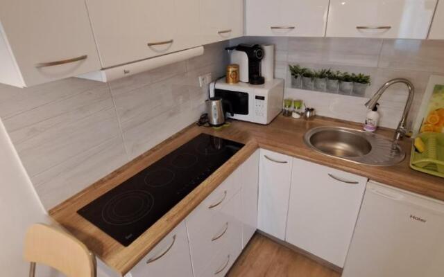 Apartament Kopernika 47