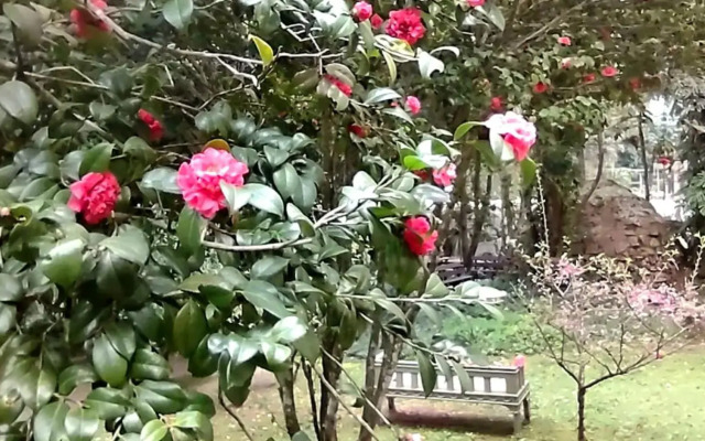 Vila Betânia