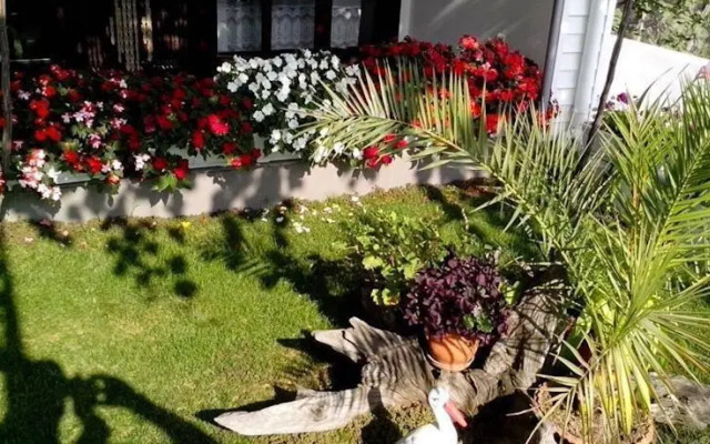 Valkanovy Guest House