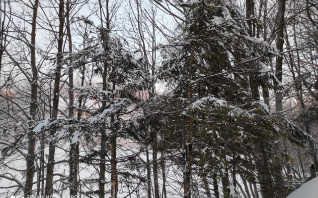 Appartamento Valeria