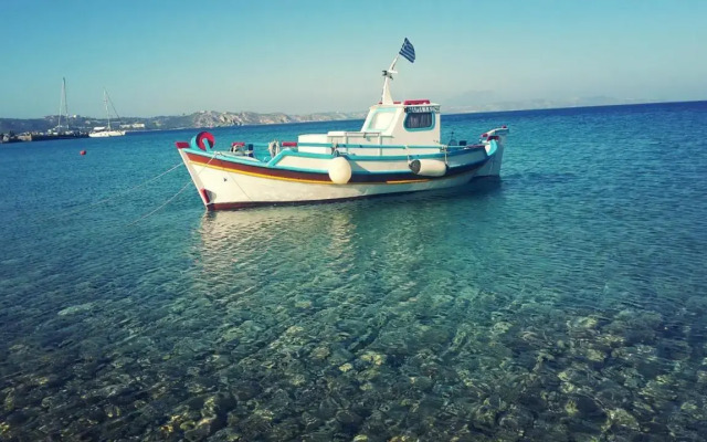 Ζini 2