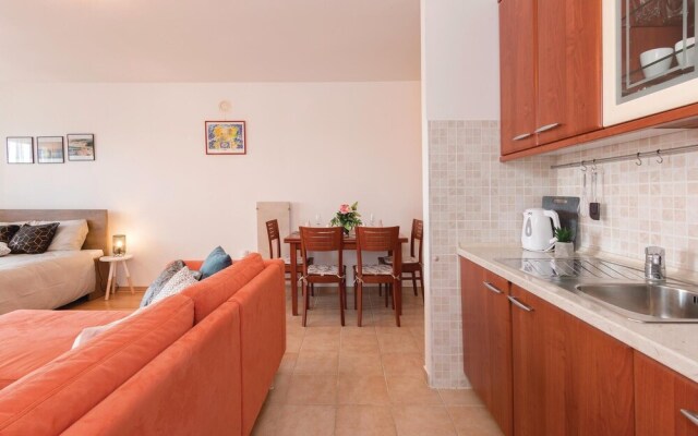Nice Apartment in Liznjan With Wifi