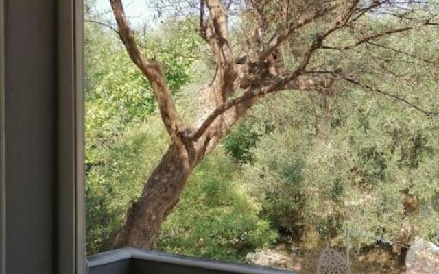 Marathias family House