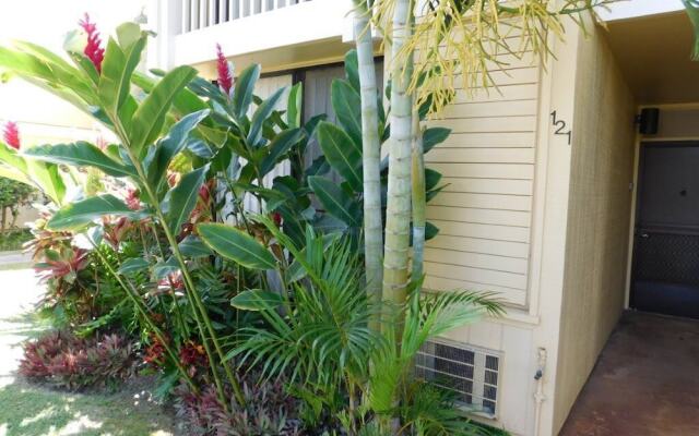 Turtle Bay Guava**ta-009966796801 1 Bedroom Condo by RedAwning