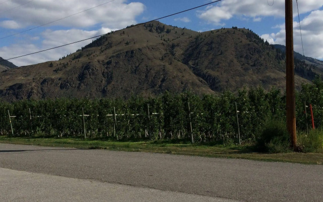 Crowsnest Vineyards Guesthouse