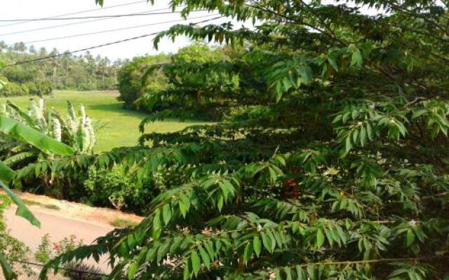 Green View Guest