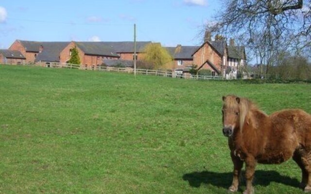 Offley Grove Farm