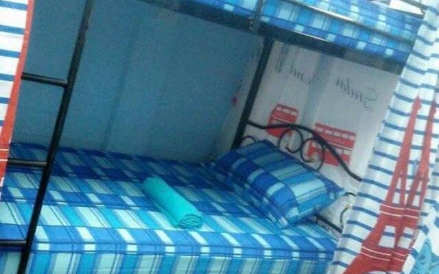Cow hostel