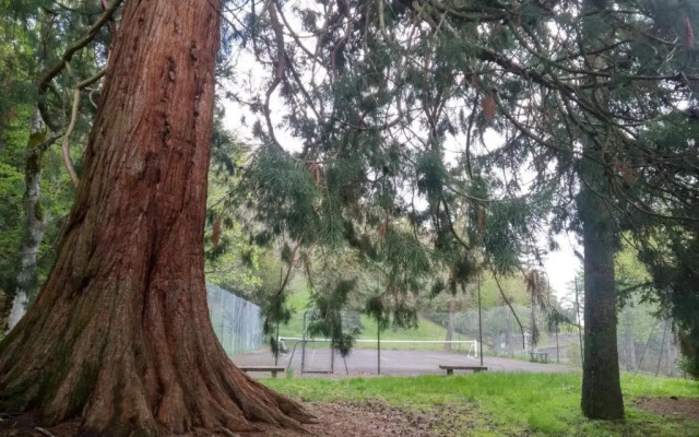 Studio au cœur des Volcans d Auvergne - Murol