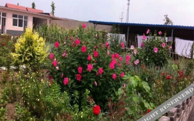 Xiangyun Island Guest House