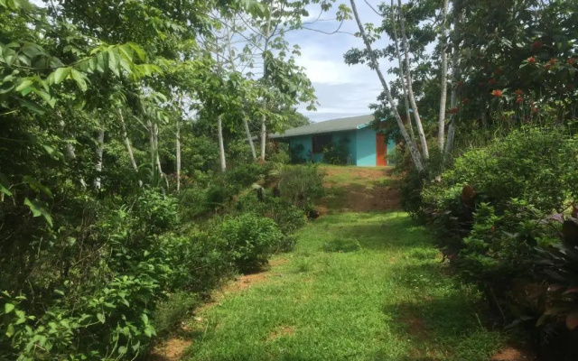 Room-villa With Primary Forest View