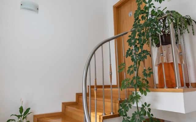 Apartments and Room Robert